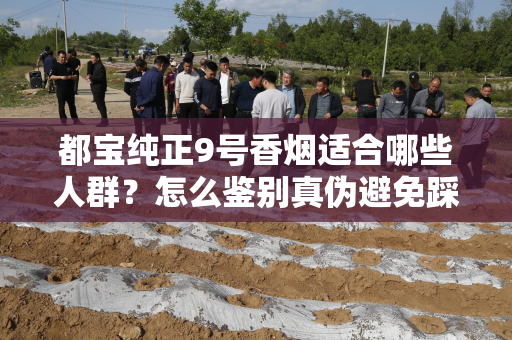 都宝纯正9号香烟适合哪些人群？怎么鉴别真伪避免踩坑？